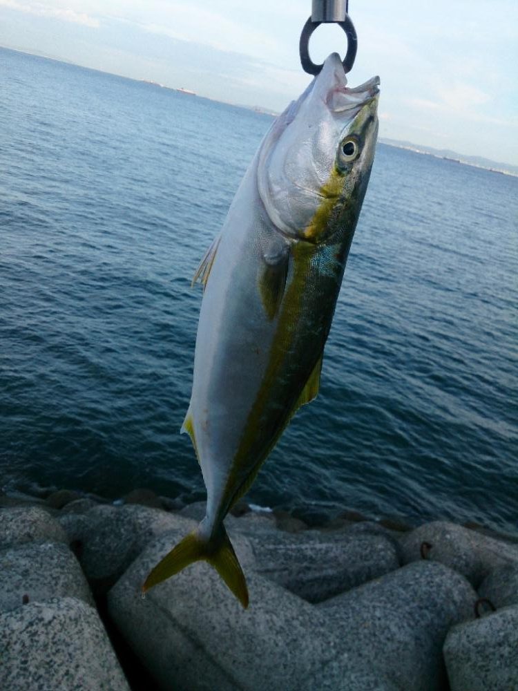 台風前にショアジギ