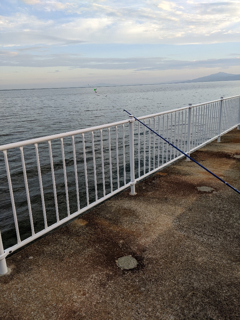 堤防からキス釣り