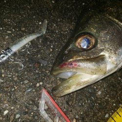 スズキさん　おはよう！