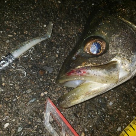 スズキさん　おはよう！