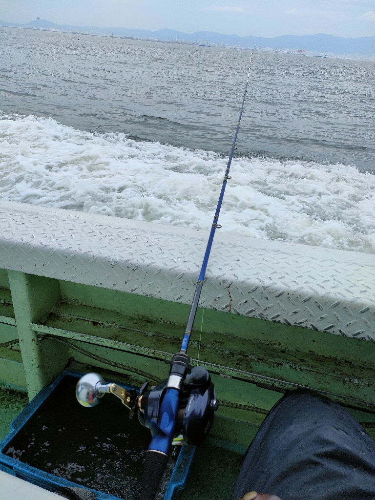 今年２回目の船太刀魚