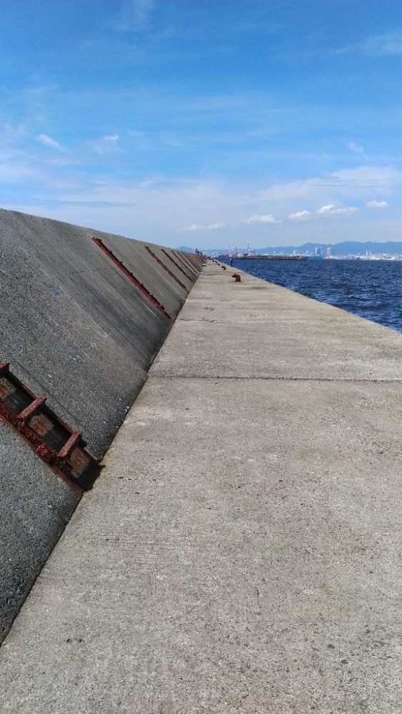 リベンジならず、、、