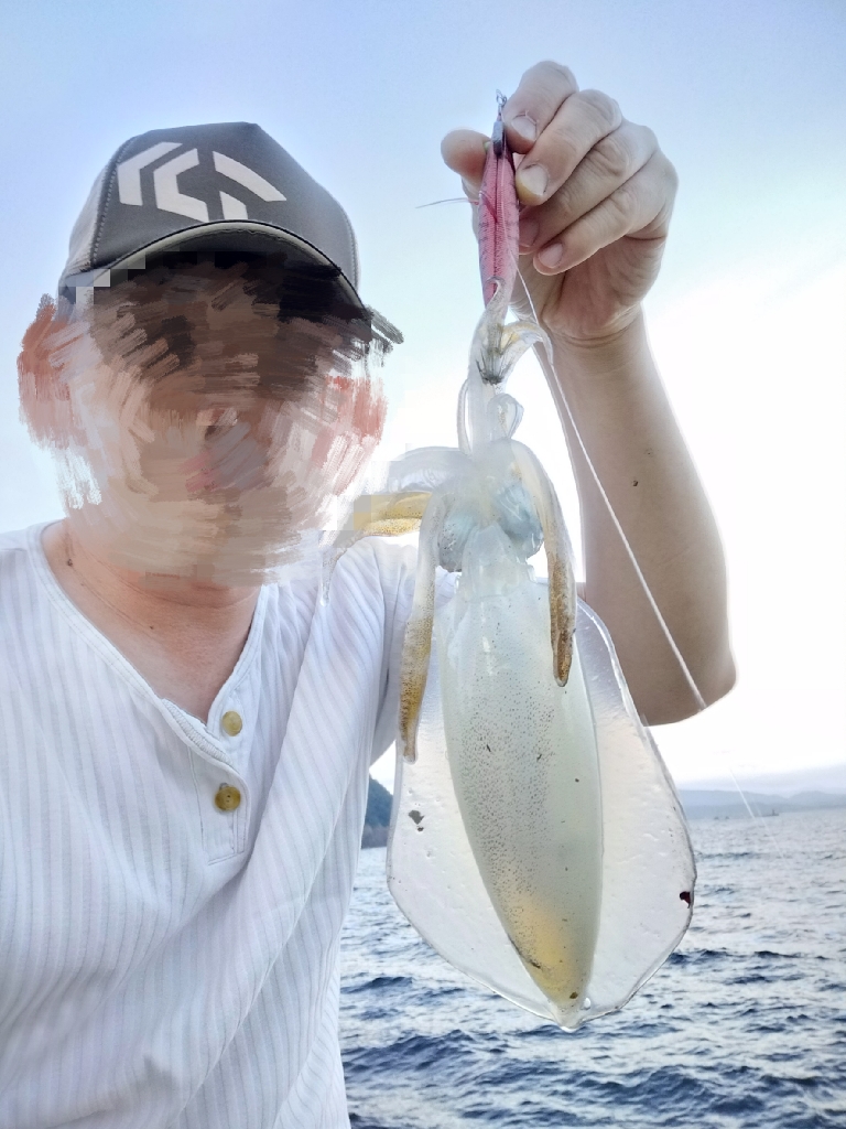 久美浜エギング