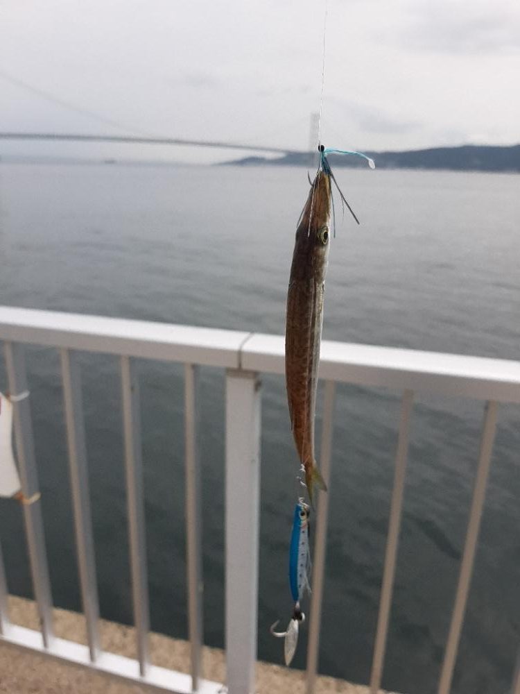 ファミリーフィッシング