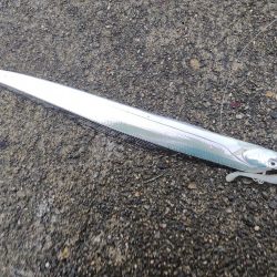 ツバス、太刀魚