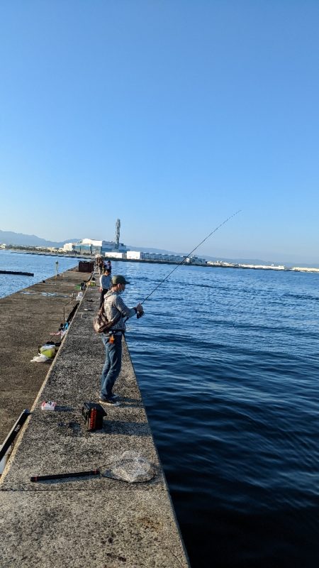 岸和田一文字で初メジロようやくゲット
