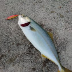 ショアジギング