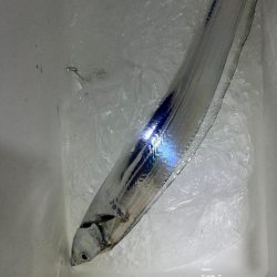 いざ出陣じゃい～っ！