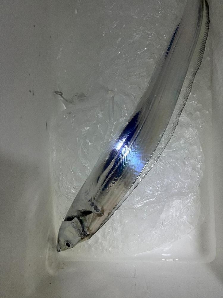 いざ出陣じゃい~っ!