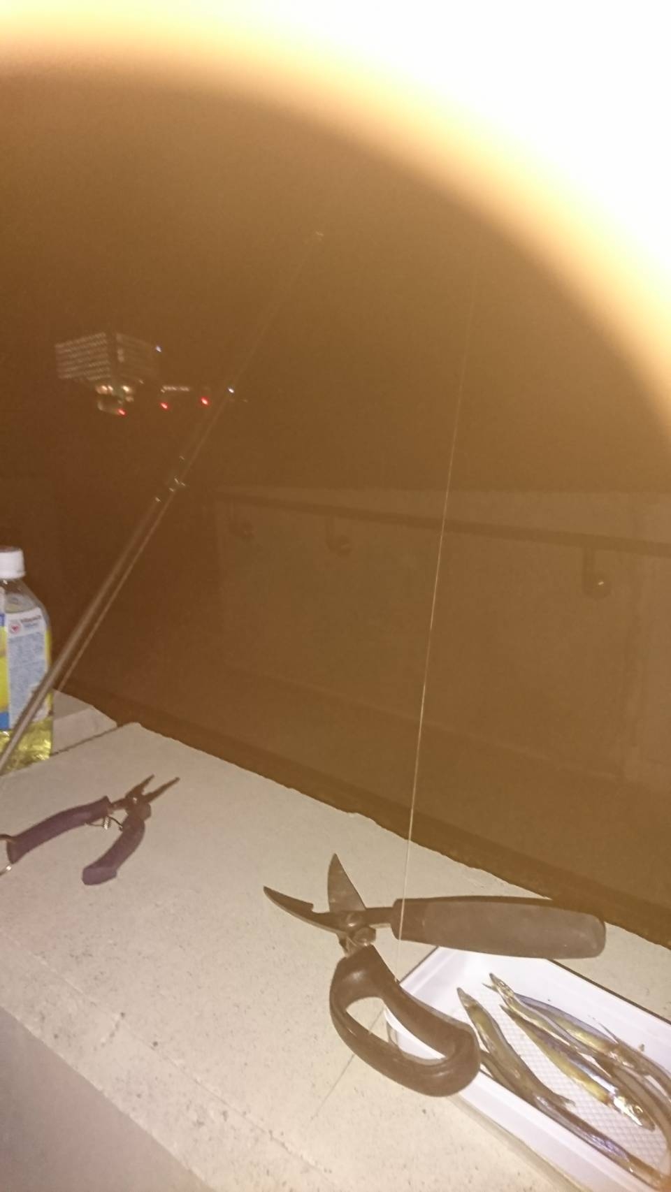 青物リベンジ失敗…仕方なく太刀魚。