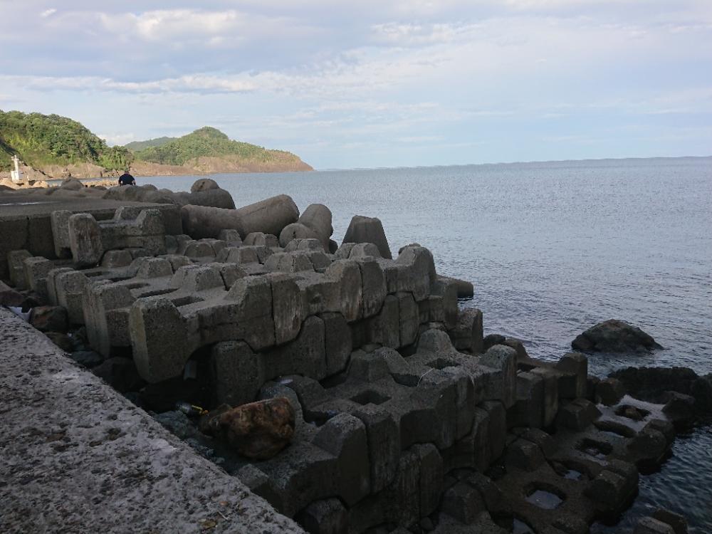 沖漬けを求めて!