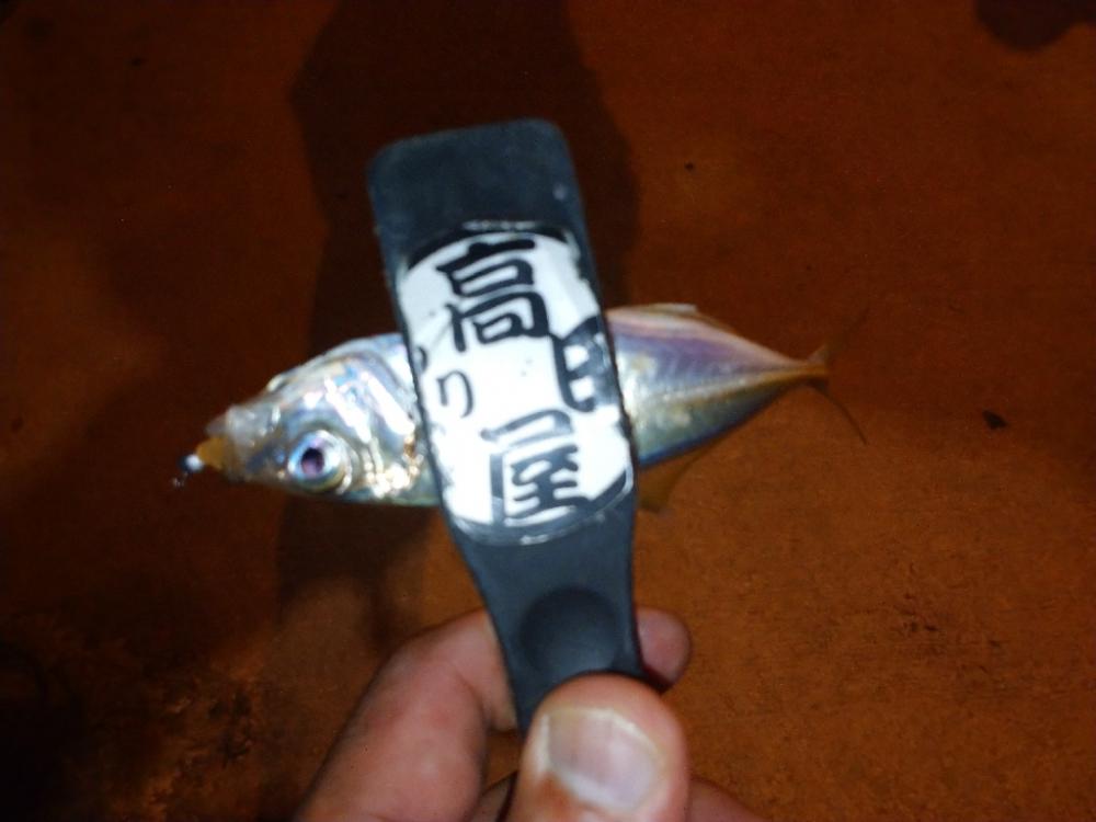 今夜はやや渋目