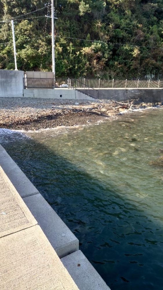 ナブラ打ちでツバス