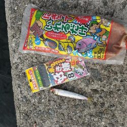 武庫川渡船さんで呑ませ釣り☆