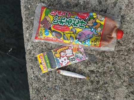 武庫川渡船さんで呑ませ釣り☆