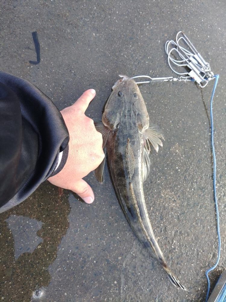 久しぶりに朝練成功♪