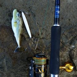 サバゲーのつもりしなゃなかった