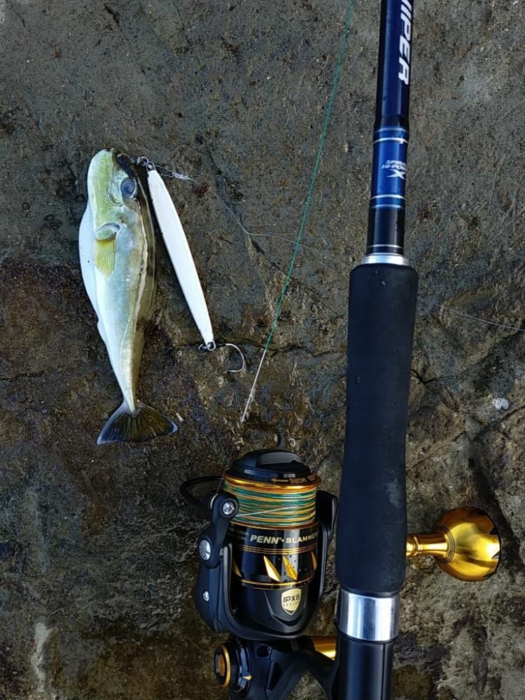 サバゲーのつもりしなゃなかった