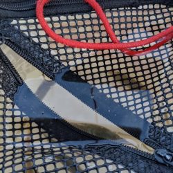 青物狙い不発も日没後、久々のタチウオ！