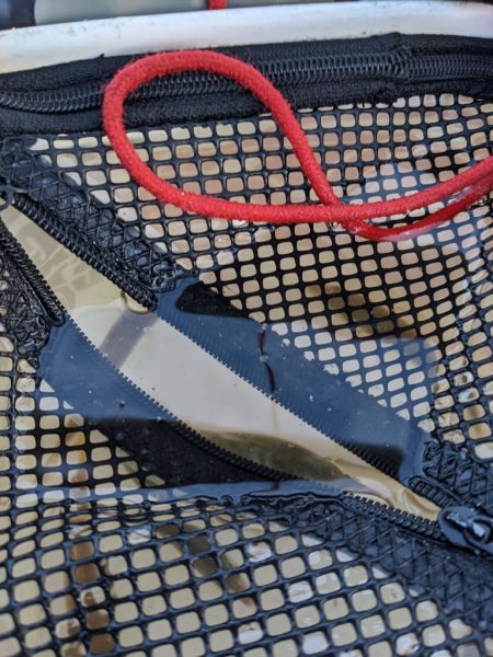 青物狙い不発も日没後、久々のタチウオ！