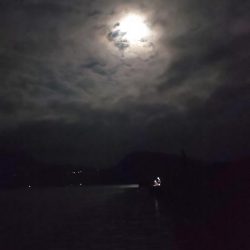 今年は当たり年と噂のアオリ狙いへ。