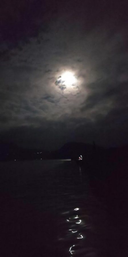 今年は当たり年と噂のアオリ狙いへ。