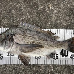 イチノ兄弟、釣果！