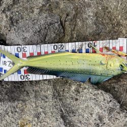 楽しませてもらいました