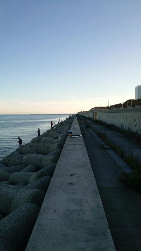 やっと青物釣れ始めました