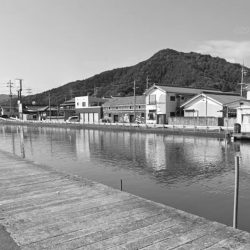 西舞鶴 9/9 夜イカ