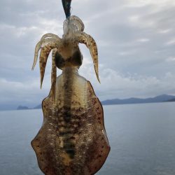 試しに3.5号投げてみた