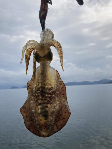 試しに3.5号投げてみた