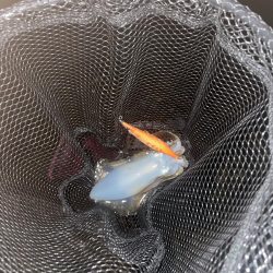 風裏あるかな!?