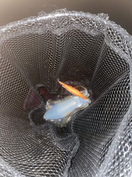 風裏あるかな!?