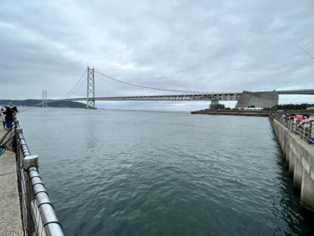台風前のサビキ釣り