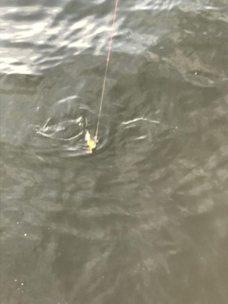 まさかのシーラ