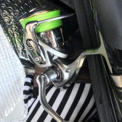 朝マズメの太刀魚釣り