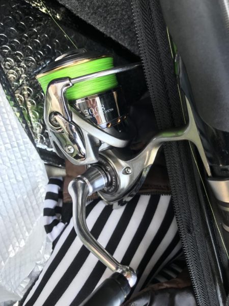 朝マズメの太刀魚釣り