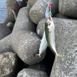 当たるって楽しい！