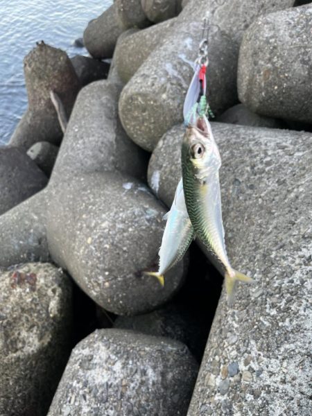 当たるって楽しい！