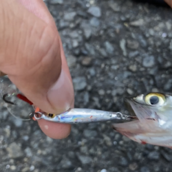 ウルトラライトジギング