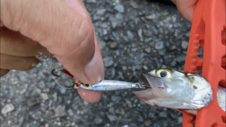 ウルトラライトジギング