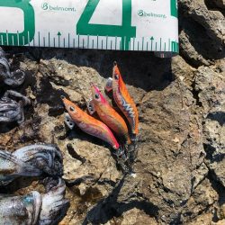 2022 佐渡ヶ島エギング 5回目