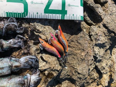 2022 佐渡ヶ島エギング 5回目