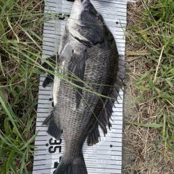 イチノ兄弟、釣果！