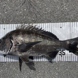 イチノ兄弟、釣果!