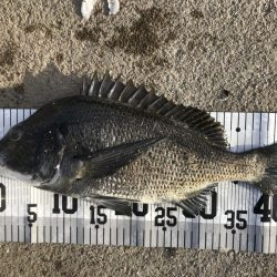 イチノ兄弟、釣果！