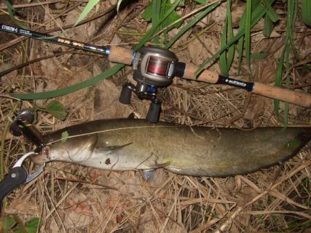 浅いバイトに苦戦