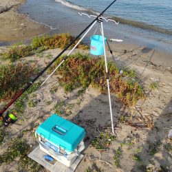 暑さの中最後に良型キス