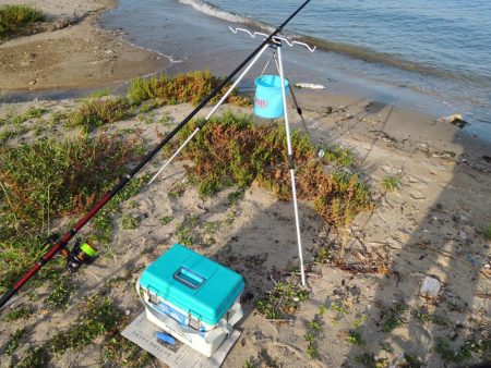 暑さの中最後に良型キス